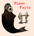 Fishy Facts